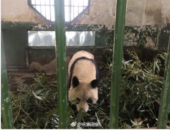 老太奶性BBAA片