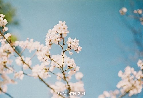 直播自慰