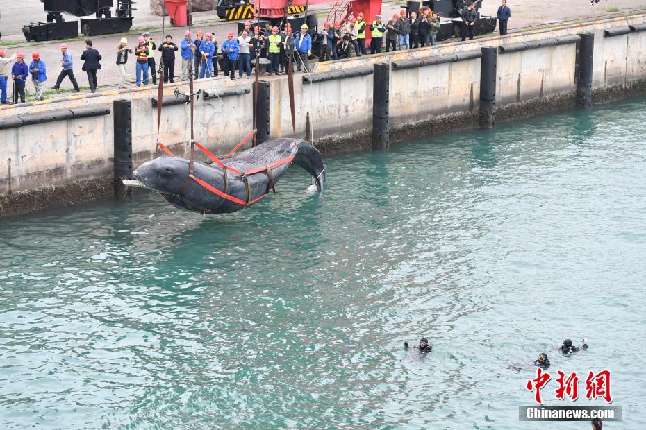 男女被 到爽 流水电影