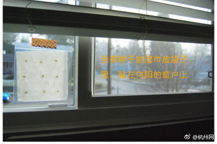 吵逼性论理电影村女老头