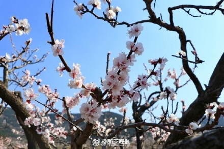 国产精选秘 免费进入