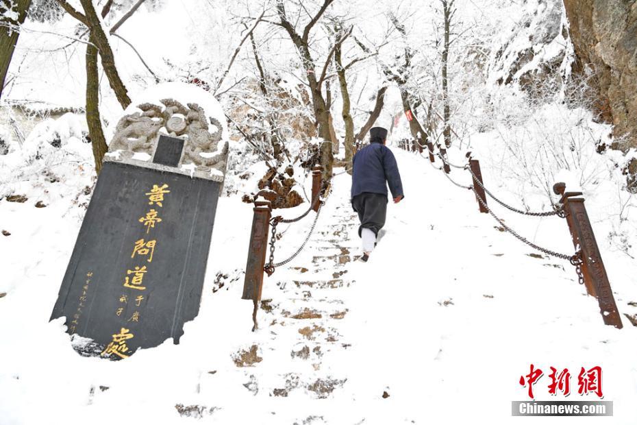 操鸡软件