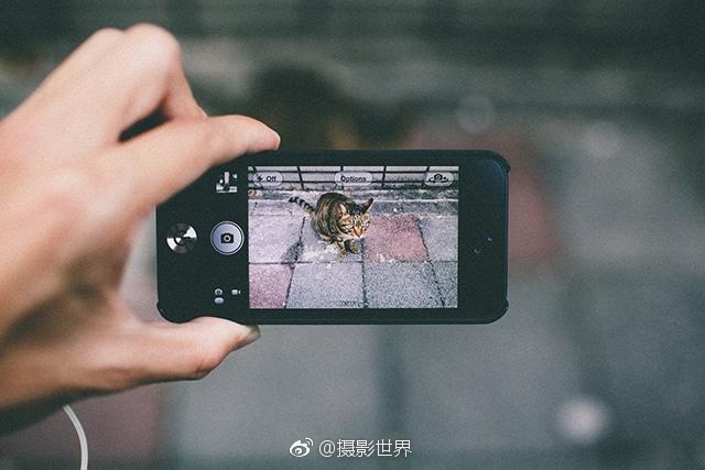 活春宫