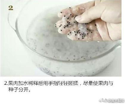 Fuck Video 麻豆