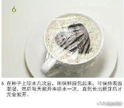 成人 性交 电影
