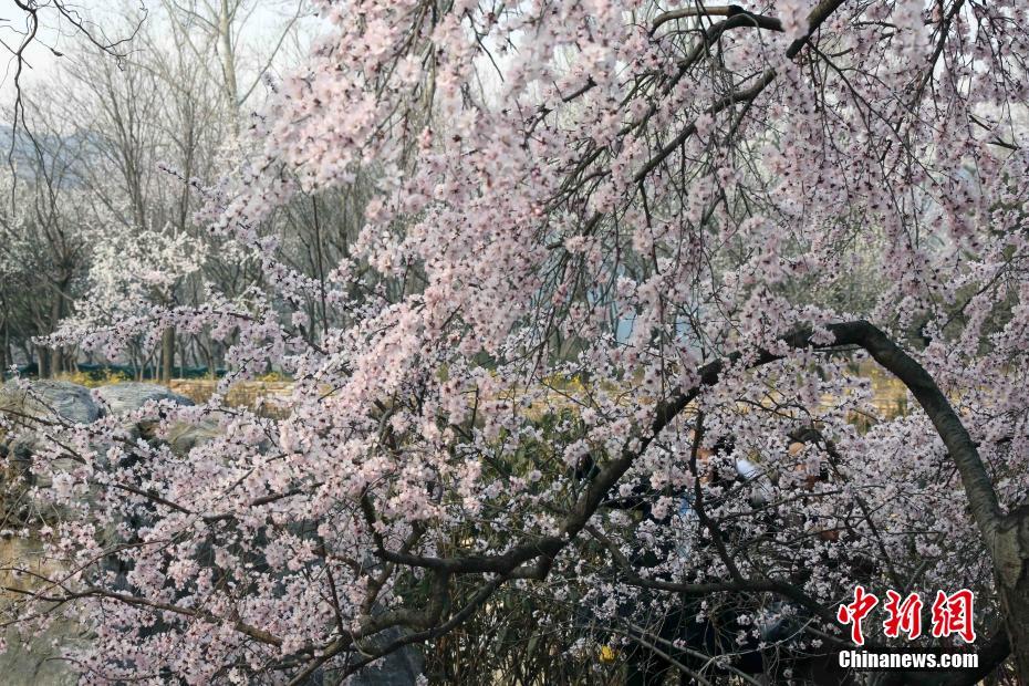 四虎精品最新地域影库
