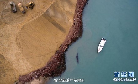 老司机深夜影院
