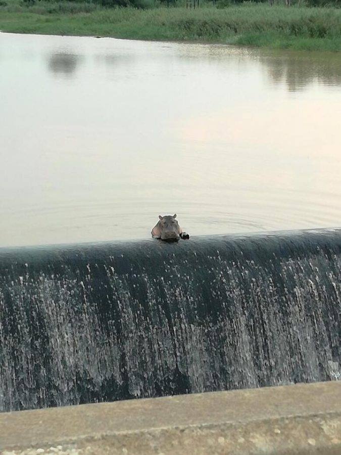 靠逼软件大全
