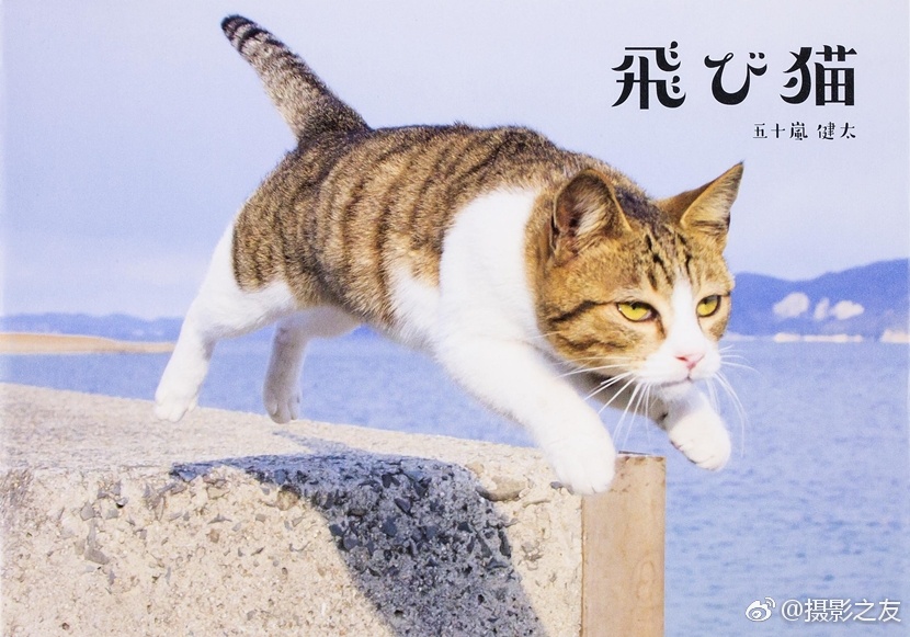 91精品国产91久久久久久吃奶