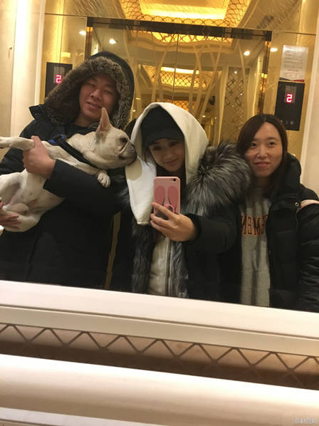 黄色网站在线观看网站