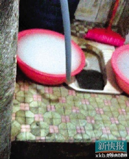 惩罚女朋开 跪着让客人玩弄