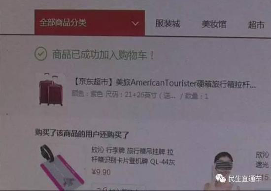 生死格鬥動畫