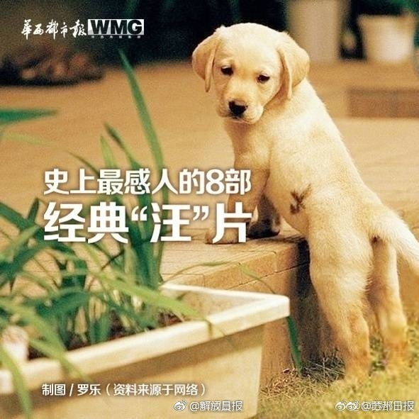 91久久久久