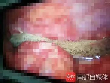 黄片视频在线免费