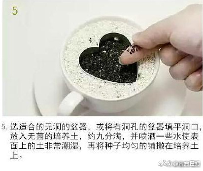 外国人三级片
