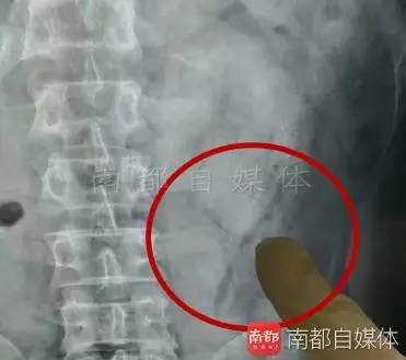 AAA一级片