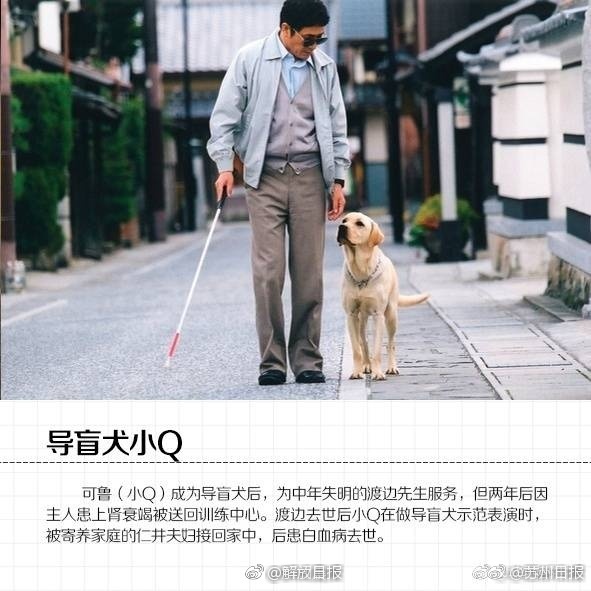 日本?交Videos老少配