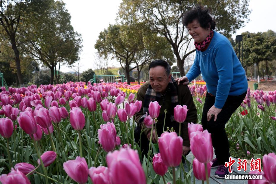 小辣椒成人福利A∨导航