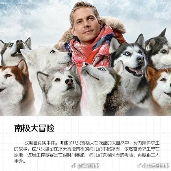 综合婷婷