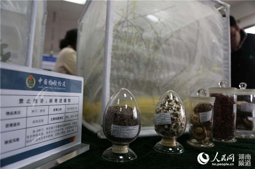 台灣偷拍裙底