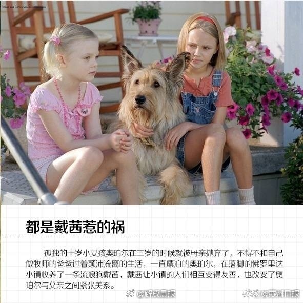 4438 全国成人免费