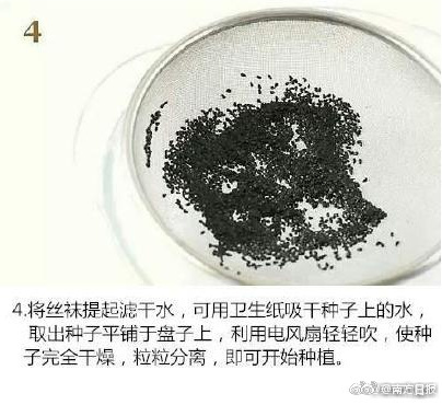 约炮交友软件