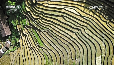 櫻桃空