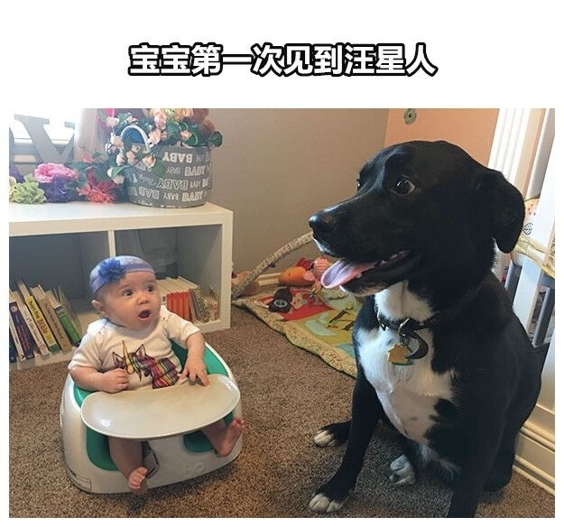 成人A片产无码免费视频奶头麻豆