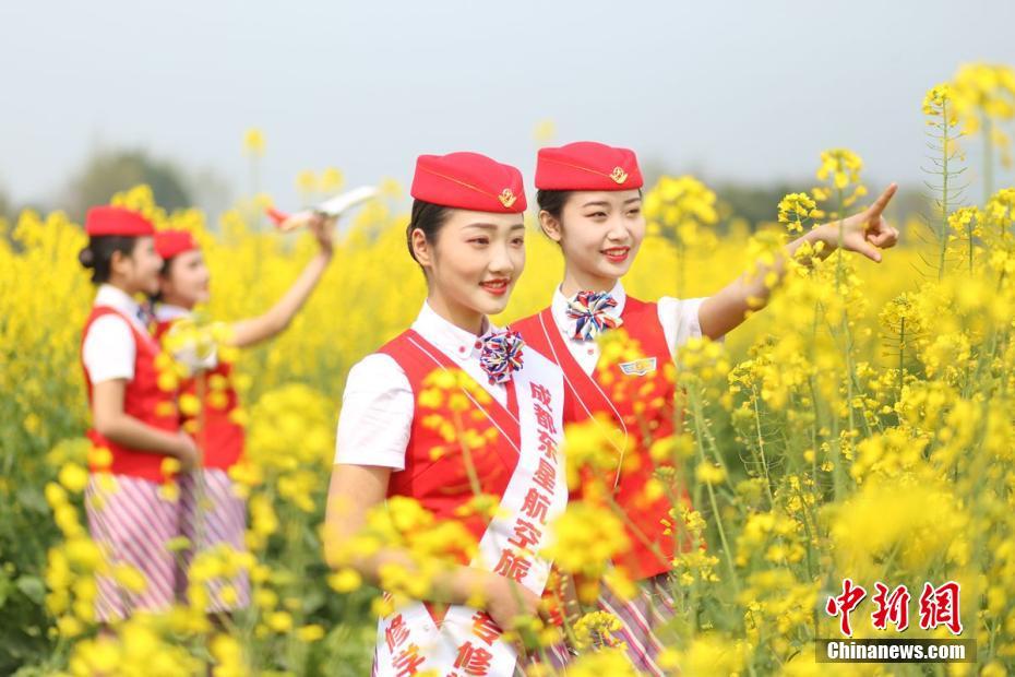 在线高清内射Chinese