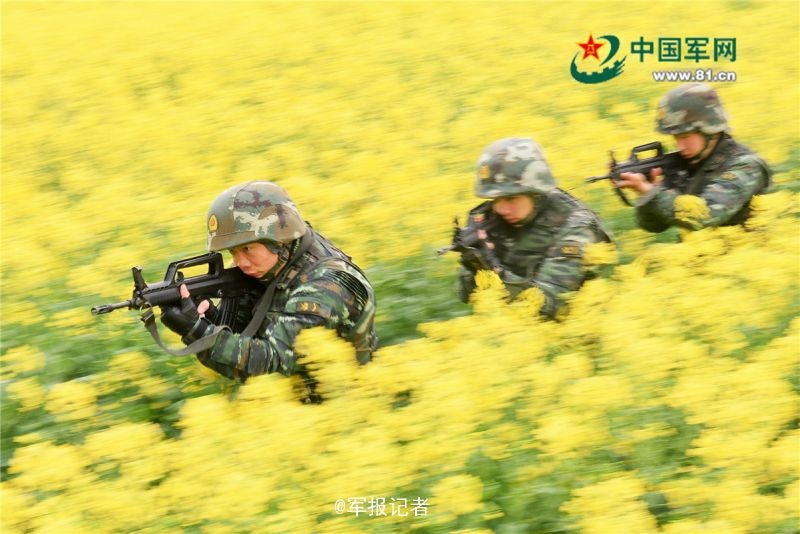 爱情岛