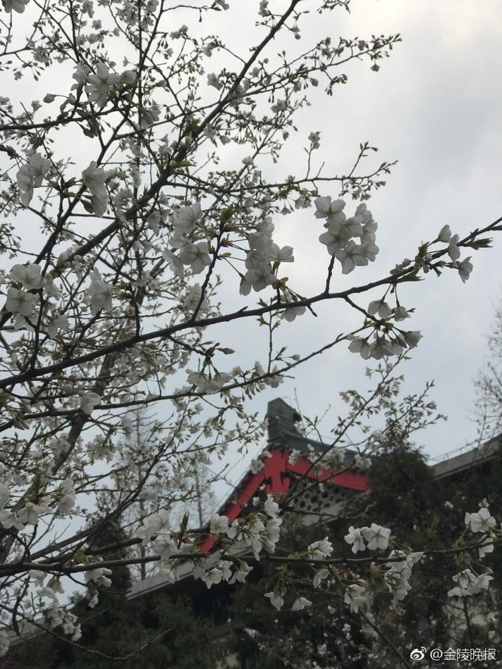 性爱 视频 字幕