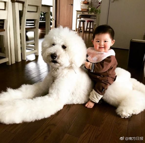 男男技师裸体按摩