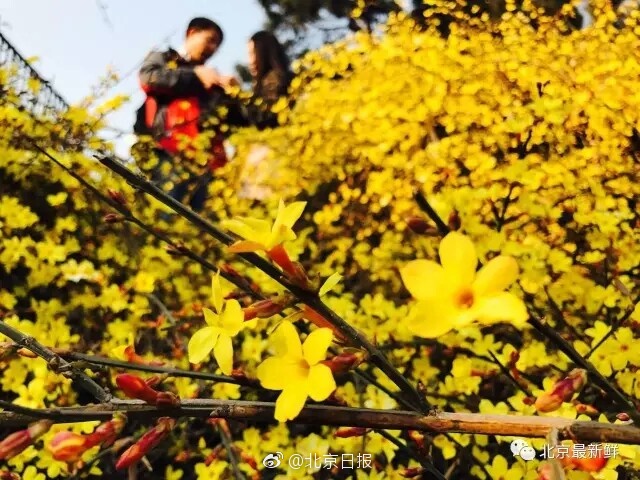 A级毛片免费看