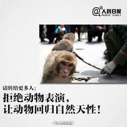 国产a区