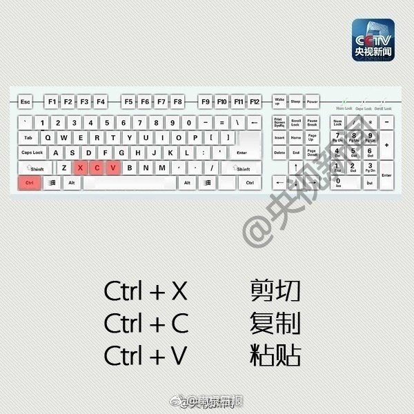 黄色录像三级欧美女图片