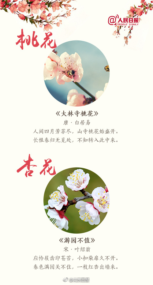 台湾绝版黄片