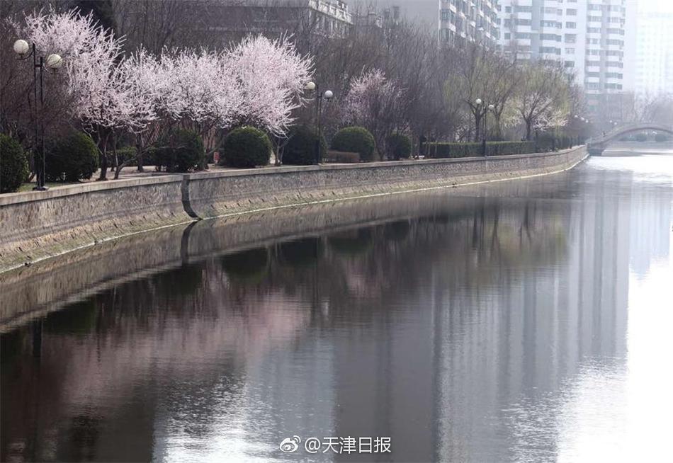 黄色网站快播