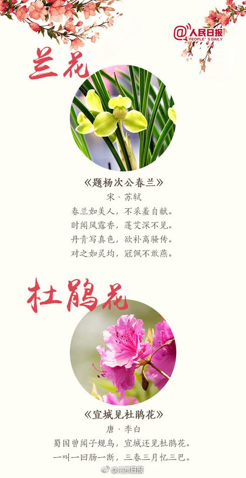黄色一级A片