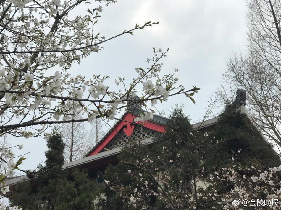 胸前两个球球图片曝光