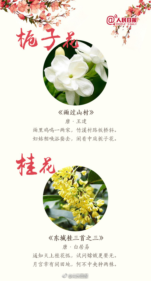 lostllife1.52破解版小兔子