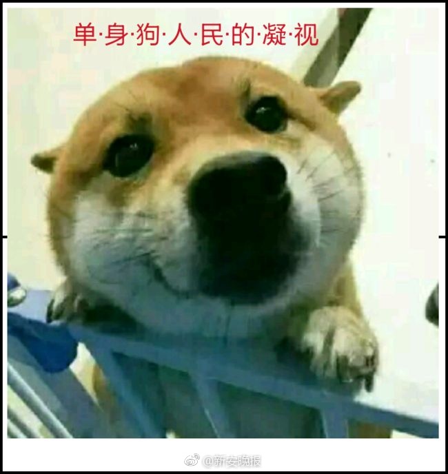 日本苍井空乳5O