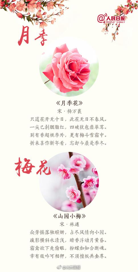 欧美BBBBBBAAAAAAA片