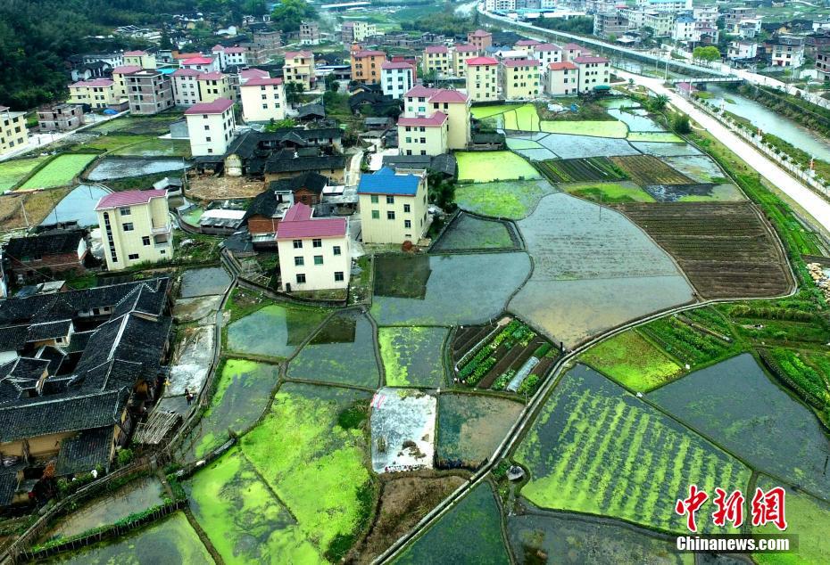 裸之大陸