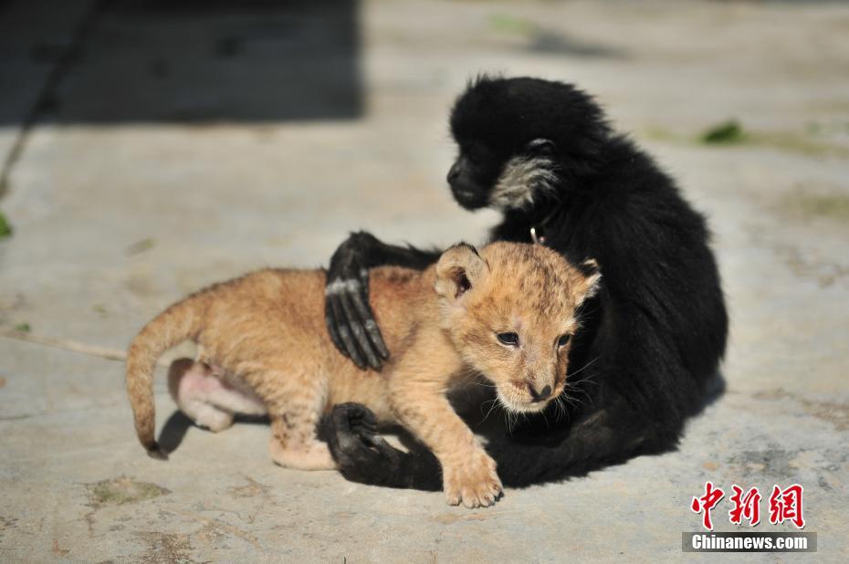 文大母狗瑄兒
