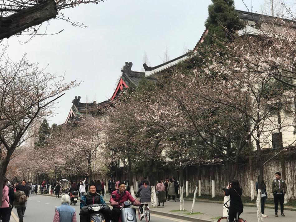 免费Av永久免费