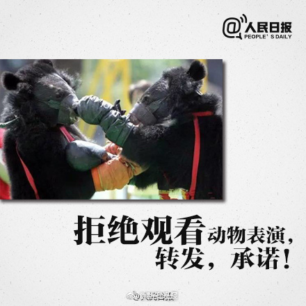 海角社区深夜秘 入口