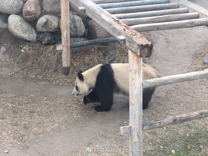 挤公交忘穿内裤被挺进