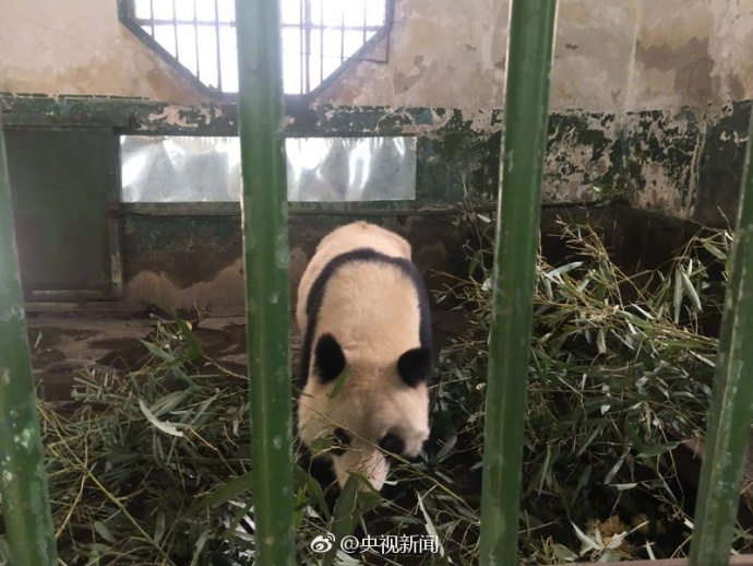欧美黄色一级