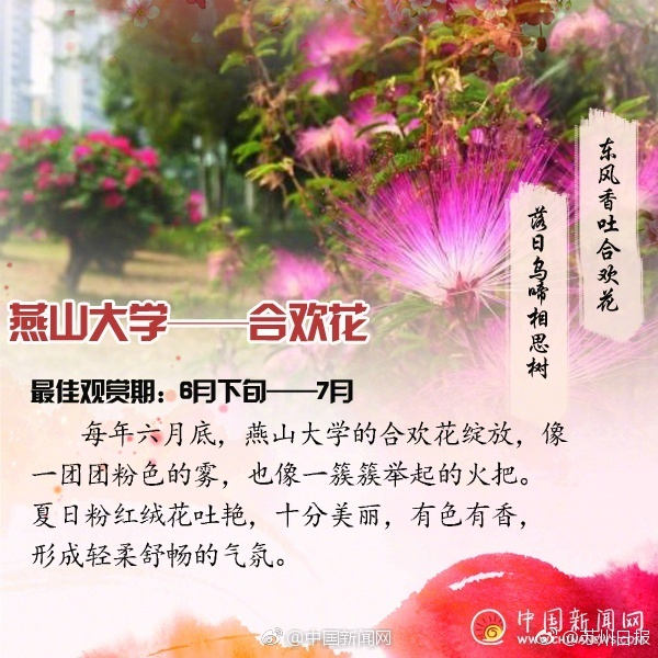 在线下载的黄色视频网站