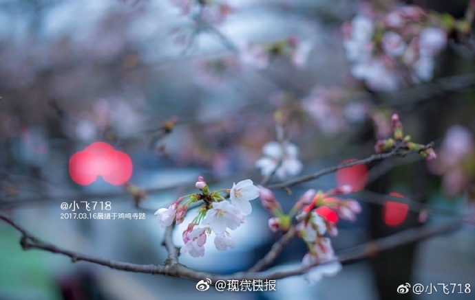 韩国理伦大片三?
